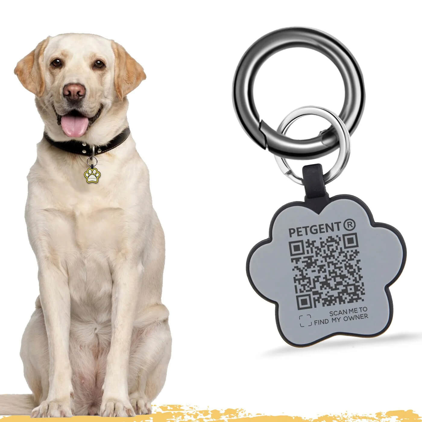 onde comprar placa pet