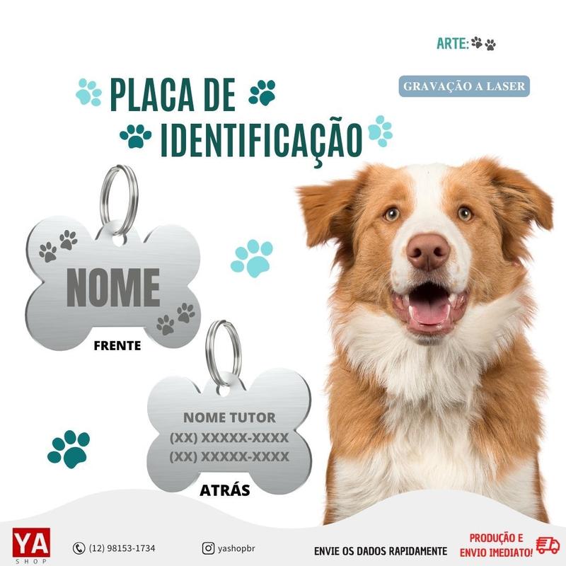 melhor placa para cachorro