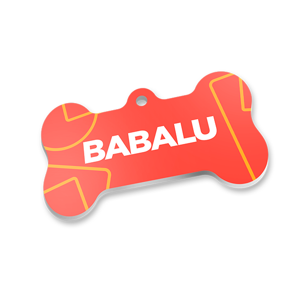 placa de identificação para cachorro
