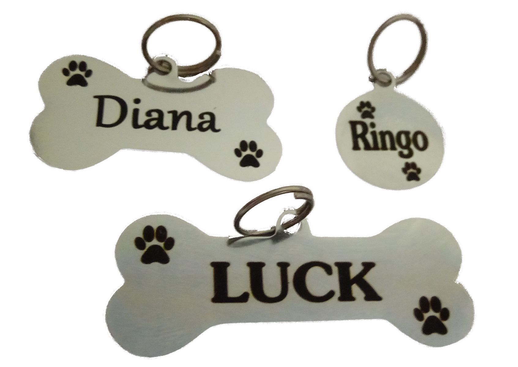 onde comprar placa pet