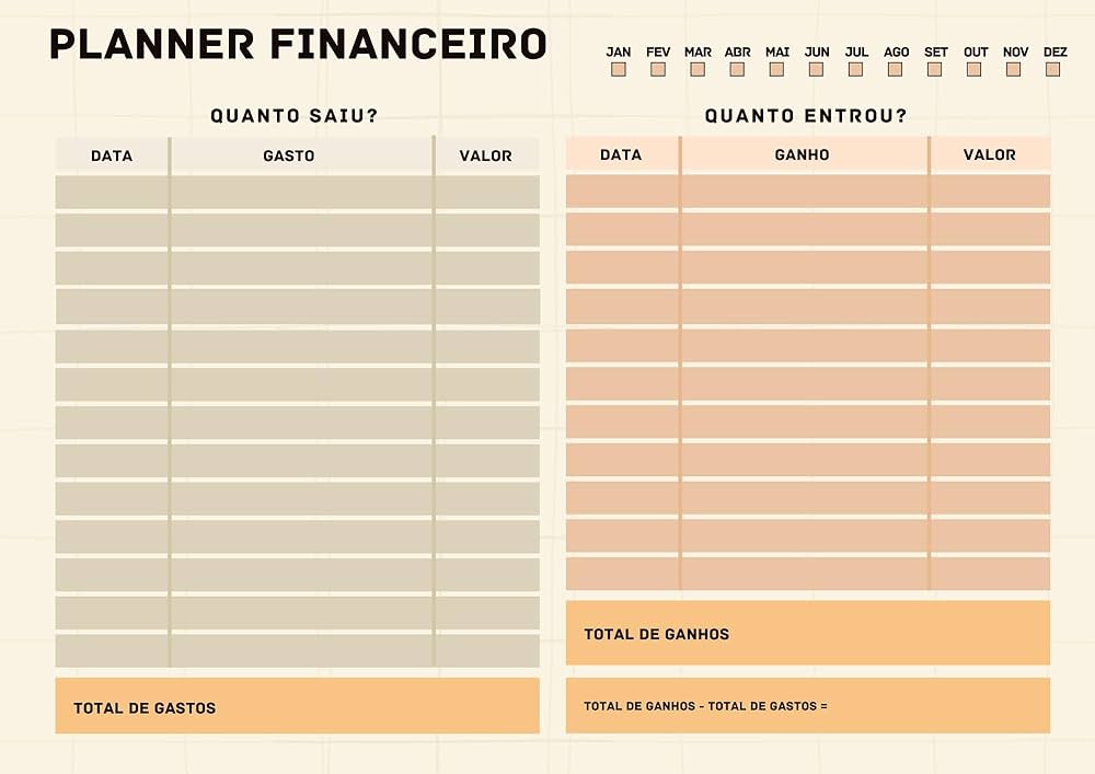 organizador financeiro