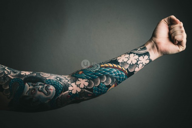 tatuagem de leão braço homem