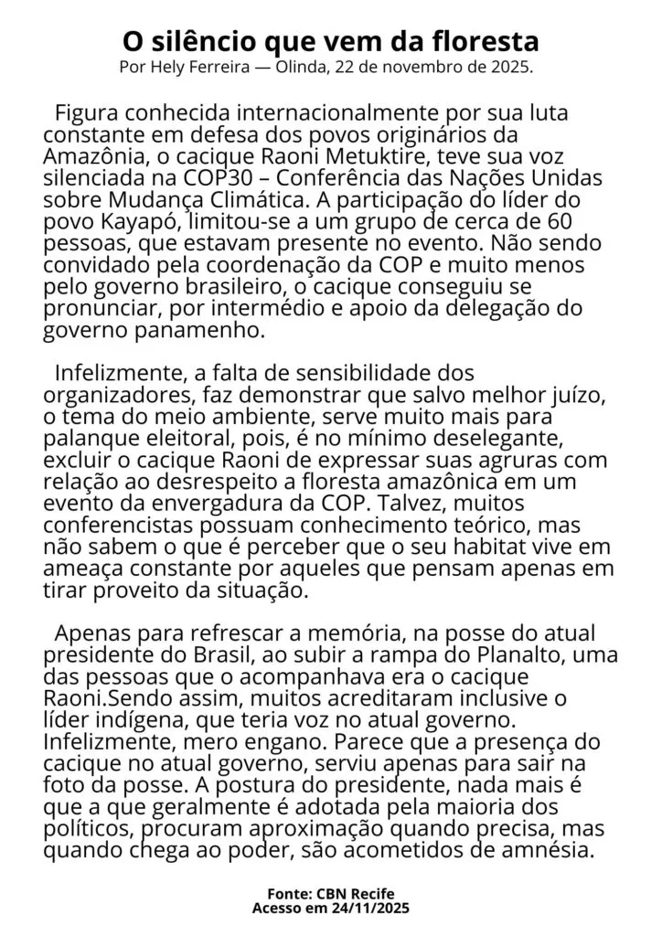 artigo de opinião interpretação 8 ano