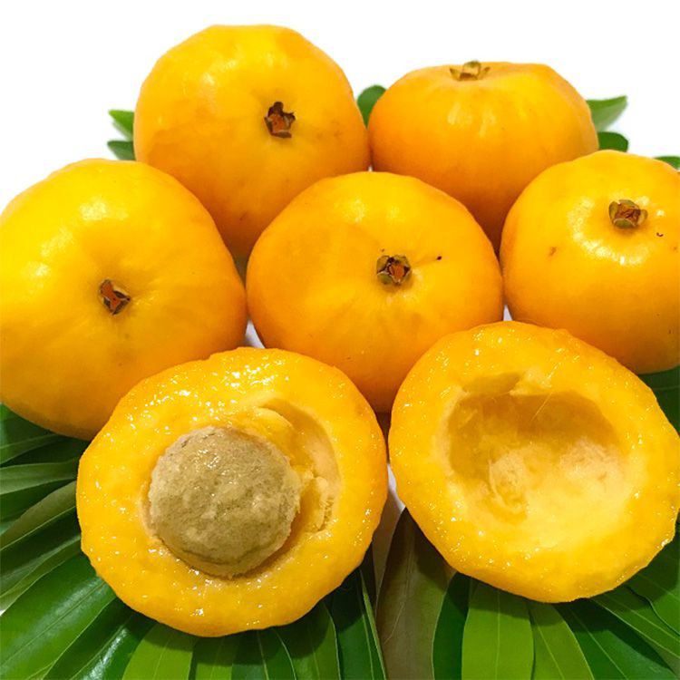 fruta ácida tupi